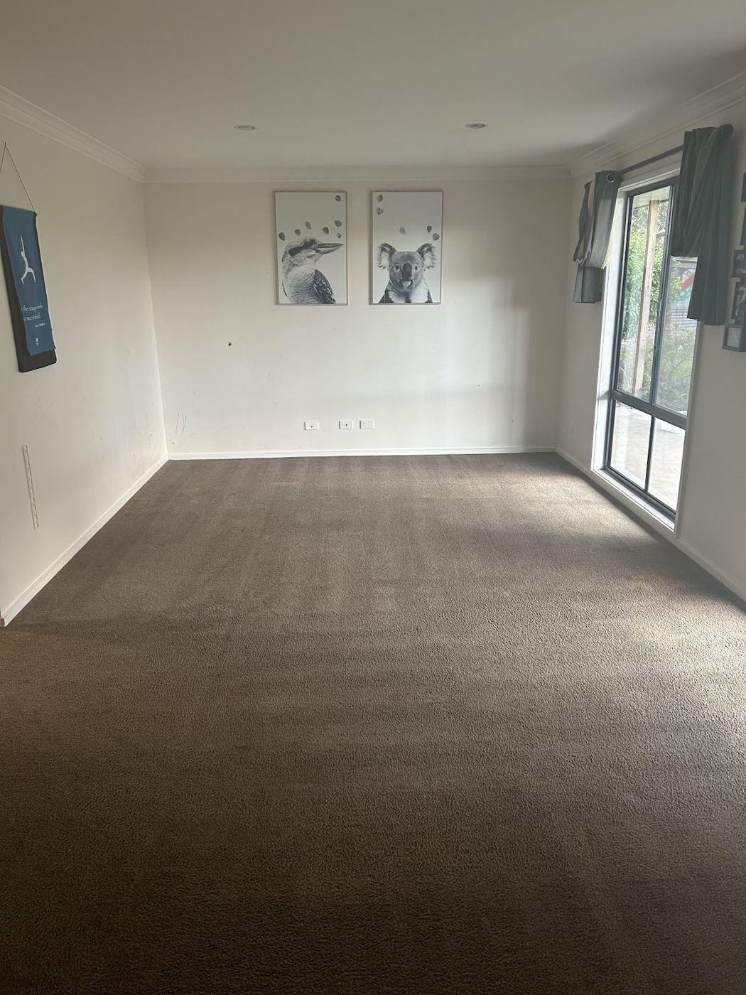 Freshly cleaned brown carpet in a bright lounge room