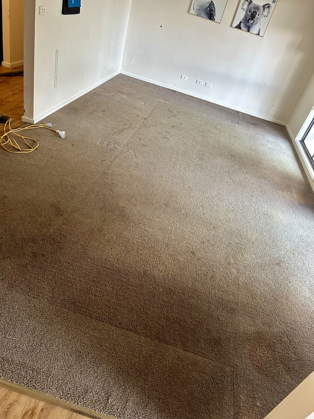 Beige carpet cleaned right into the corners